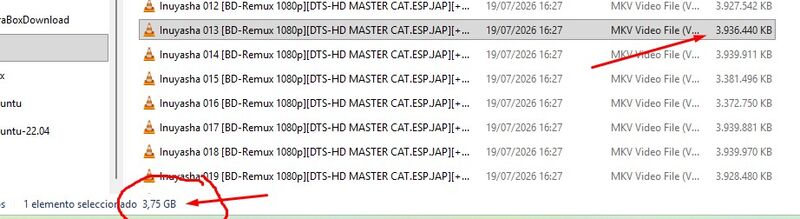 Capítulo de Inuyasha ocupando 3.75 GB